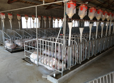 山东佰牧兴畜牧机械有限公司(图2)