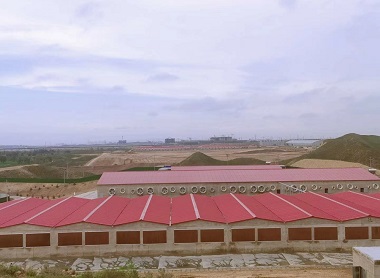 山东佰牧兴畜牧机械有限公司(图4)