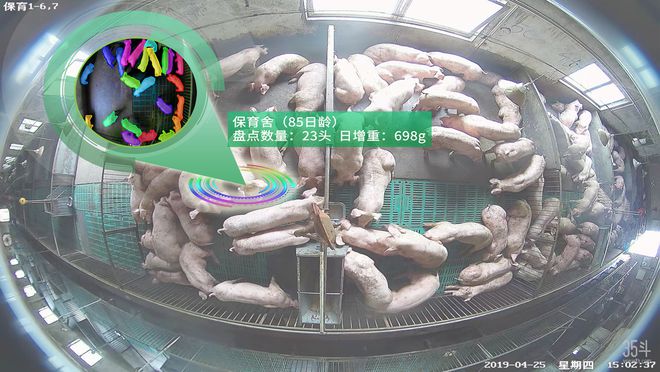 凯发旗舰厅智慧养猪用科技撑起猪场的一片天地丨专访普立兹(图3)