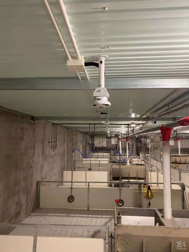 凯发旗舰厅智慧养猪用科技撑起猪场的一片天地丨专访普立兹(图4)