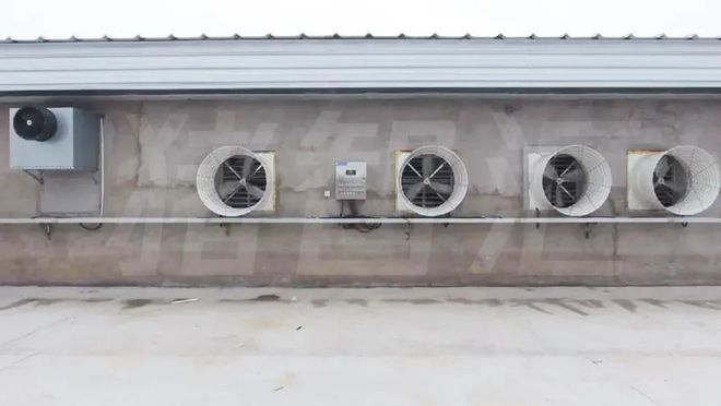 智能养猪机器人如何管控猪舍内环境？(图2)