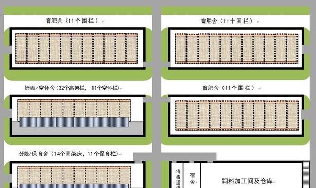 猪场如果自繁自养各种猪舍如何配置？凯发国际(图3)