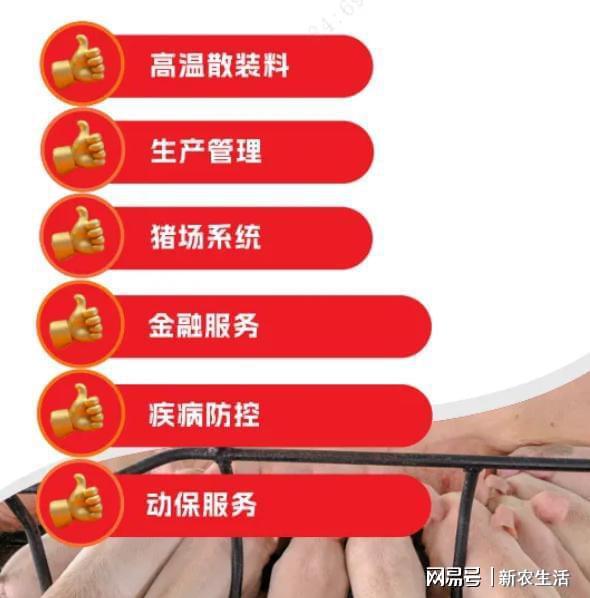 ag凯发双胞胎集团专业订制养猪六大服务助规模养户降低成本