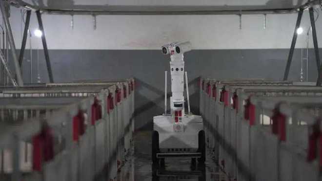 智能耳标监控数据机器人凯发国际巡检自动开空调地暖……桐乡养猪用上了“最强大脑”(图2)