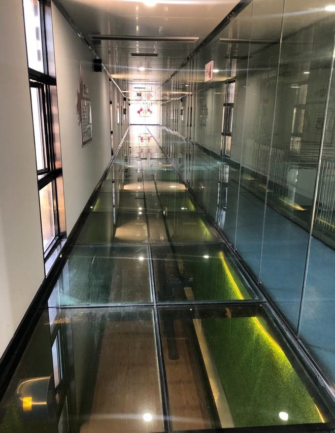 智能耳标监控数据机器人凯发国际巡检自动开空调地暖……桐乡养猪用上了“最强大脑”(图3)