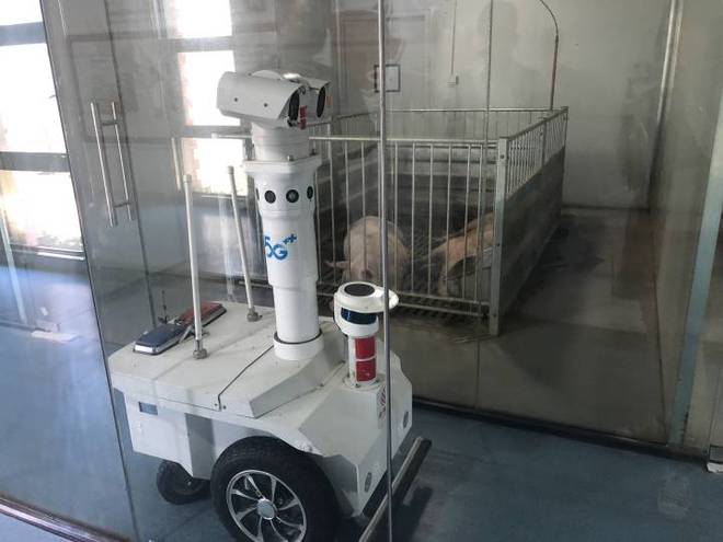 智能耳标监控数据机器人凯发国际巡检自动开空调地暖……桐乡养猪用上了“最强大脑”(图8)