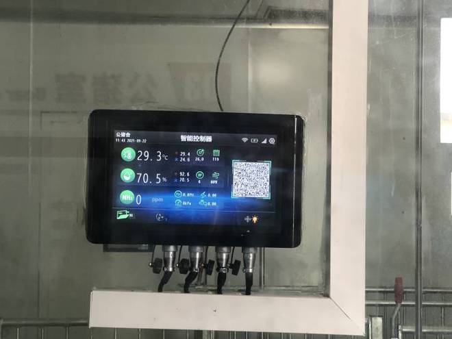 智能耳标监控数据机器人凯发国际巡检自动开空调地暖……桐乡养猪用上了“最强大脑”(图9)