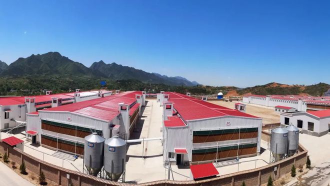 ag凯发VIV青岛特约丨广州广兴牧业设备集团：以出口基础铸全球精品(图4)