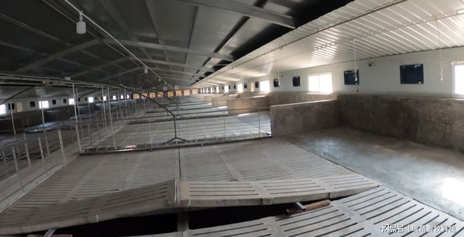 养猪设备还可以火几年养猪专家：最少三年！(图3)