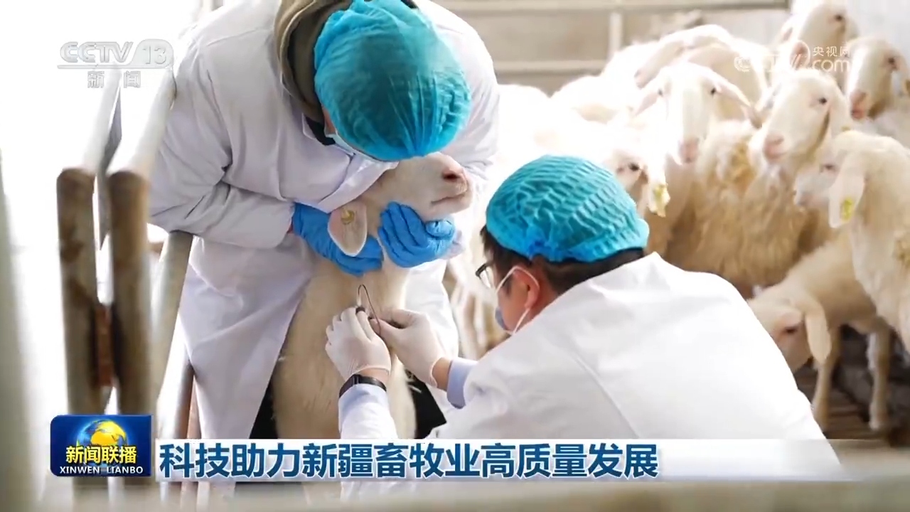 科技助力新疆畜牧业高质量发展(图2)