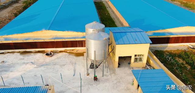 现代化猪场有多高级！原来养猪巨头都这样养猪了