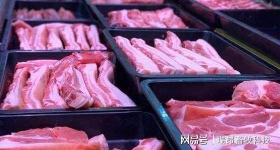 凯发旗舰厅猪价要跌了2021年还是养猪红利期吗？传统饲喂模式要被淘汰？(图2)