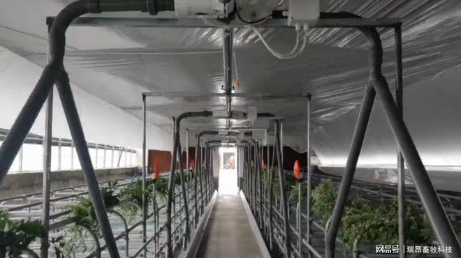 凯发旗舰厅猪价要跌了2021年还是养猪红利期吗？传统饲喂模式要被淘汰？(图4)