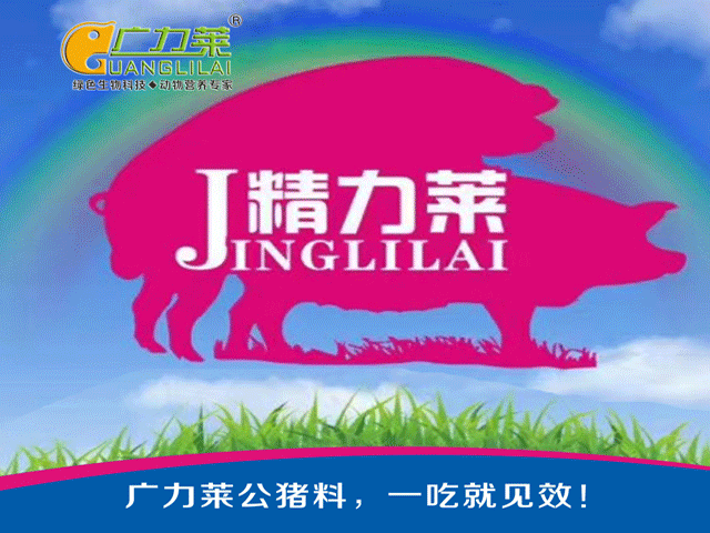 森和种猪尚海广：8人可养1200头曾祖代SPF种猪！猪场设计可使PSY达38头‖匠心(图3)