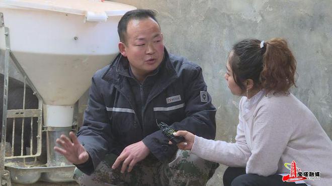 发酵床上养殖肥猪生态致富两不误(图3)