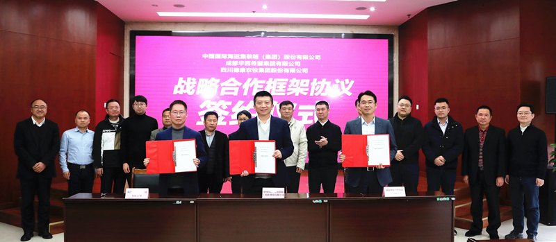 养猪“新基建”中集物联联手德康集团打造智慧养殖生态圈