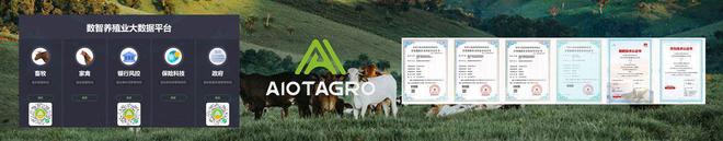 智慧养猪系统：引领养猪业的科技变革(图2)