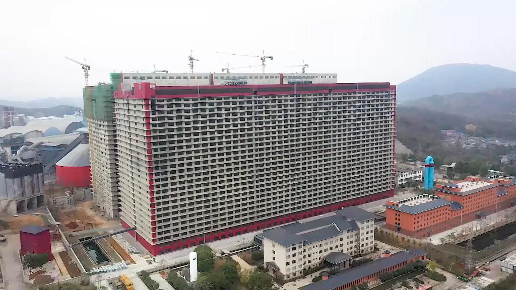 ag凯发新华全媒+丨坐电梯上楼智能化投喂——探访现代化养猪新模式