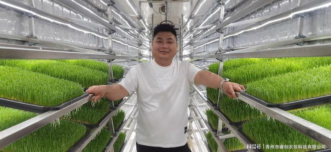 凯发旗舰厅自动化水培牧草设备：降低人力成本提升畜牧业发展！