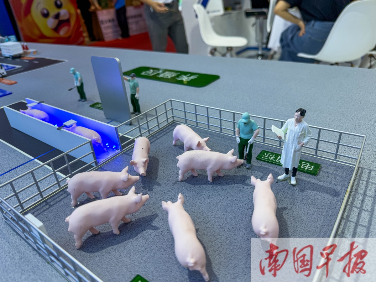 大数据养猪、在家AI问诊……本届东博会新兴领域亮点多！凯发国际