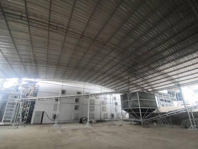 鲜鸡粪污染环境？这种污粪处理技术让它变废为宝(图4)