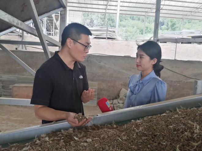 鲜鸡粪污染环境？这种污粪处理技术让它变废为宝(图5)