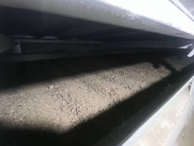 鲜鸡粪污染环境？这种污粪处理技术让它变废为宝(图7)