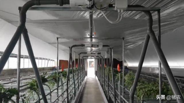 养猪设备五花八门贵的就一定效果好？(图3)