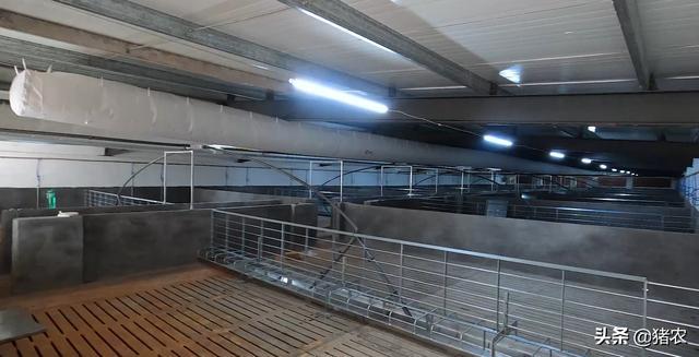 养猪设备五花八门贵的就一定效果好？