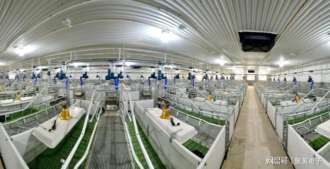 建设智慧养猪场需要申请吗？至少要办理这些证件(图5)