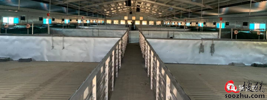 ag凯发猪场常见的设施设备改善有需求都有哪些优点？(图2)