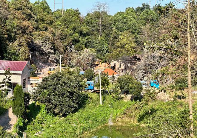 养猪场怎会发生烟花爆炸？原因竟是非法生产→(图2)