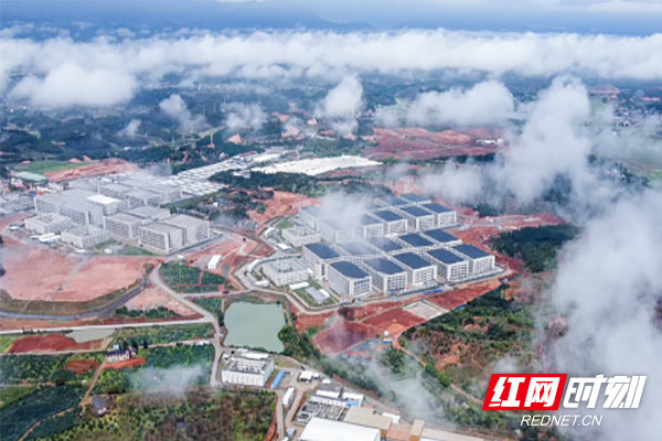 株洲：布局全产业链现代化生猪生产领跑全省