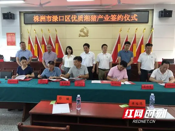 株洲：布局全产业链现代化生猪生产领跑全省(图3)