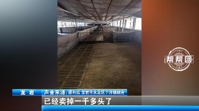 村民投诉养猪场散发臭味当地回应：设施是合规的正在升级改造(图5)