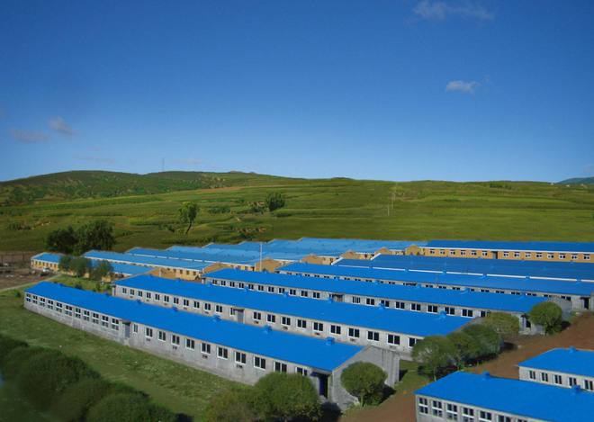 建猪场养一百头猪需要投资多少成本？看专业猪场建造如何分析！