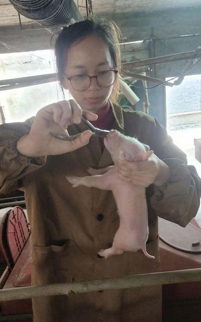 推动设备更新改造贴息贷款让养猪效益更高(图5)