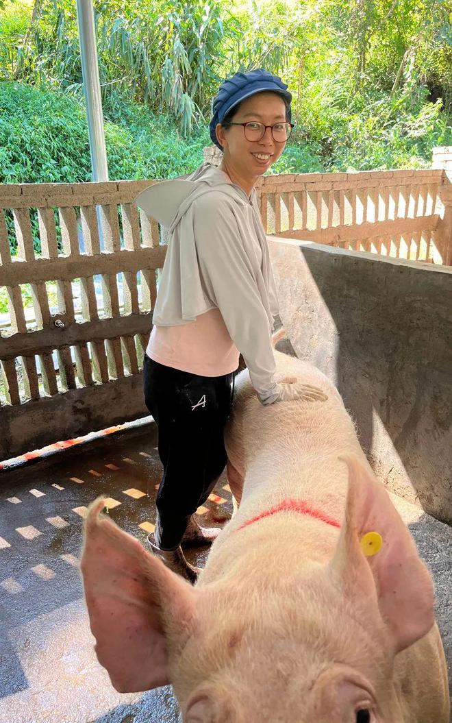 推动设备更新改造贴息贷款让养猪效益更高(图4)