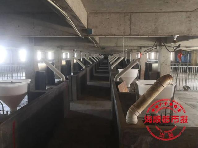 一养殖企业遭有关部门“双标”？800多万元或打水漂(图3)