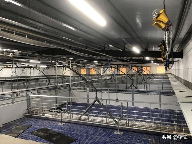 养猪场设备应用有必要吗？听听养猪十年的老养殖户怎么说(图2)