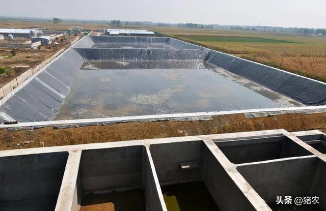 养猪场设备应用有必要吗？听听养猪十年的老养殖户怎么说(图5)