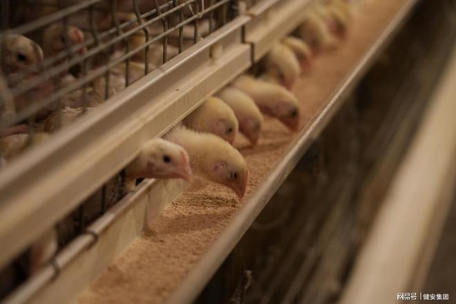 推动现代设施畜牧业发展2030年我国畜禽养殖规模化率将达83%(图3)