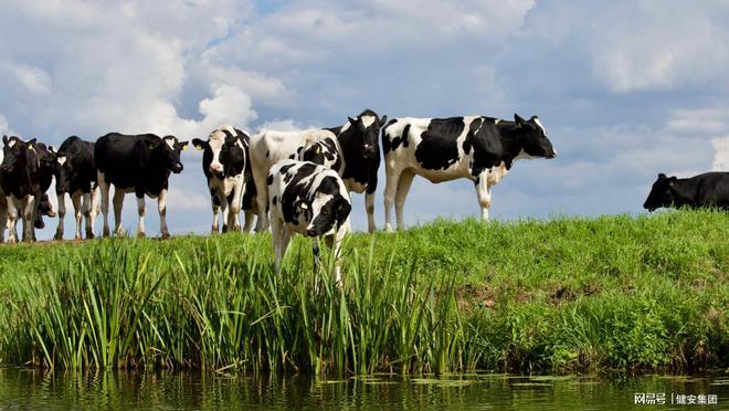 推动现代设施畜牧业发展2030年我国畜禽养殖规模化率将达83%(图6)