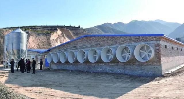 建存栏500头生猪养殖场占地多少平米合适？每平米需要多少元？(图4)