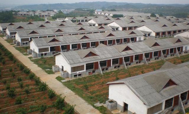 建存栏500头生猪养殖场占地多少平米合适？每平米需要多少元？(图2)