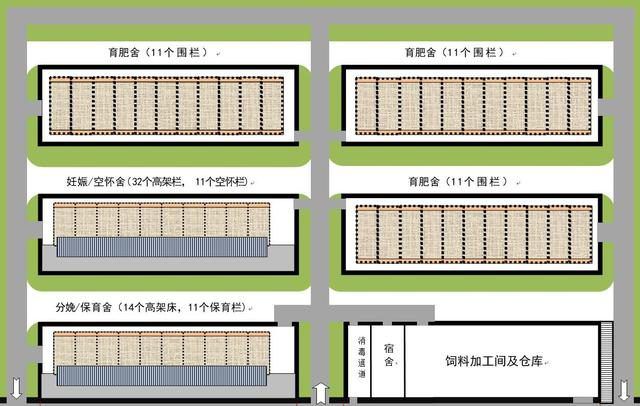 建存栏500头生猪养殖场占地多少平米合适？每平米需要多少元？