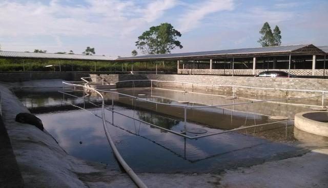 建存栏500头生猪养殖场占地多少平米合适？每平米需要多少元？(图5)