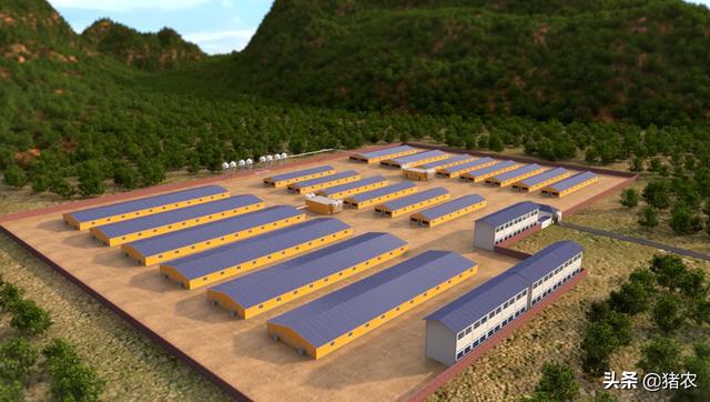 有这三种想法的人劝你别养猪