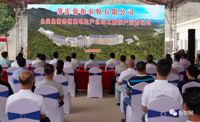 年出栏10万头生猪！广东肇庆这个楼房养猪项目正式投产！