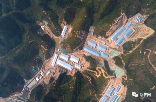 年出栏10万头生猪！广东肇庆这个楼房养猪项目正式投产！(图5)